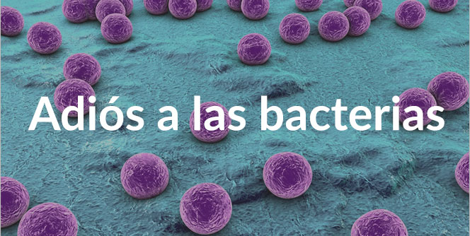 bacterias jabon escudo antibacterial